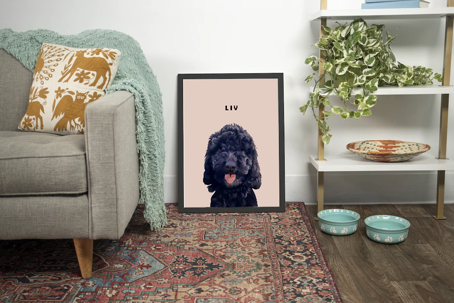 Individuelles Haustierportrait von Liv dem schwarzen Pudel am Boden in einem dekorierten Wohnzimmer